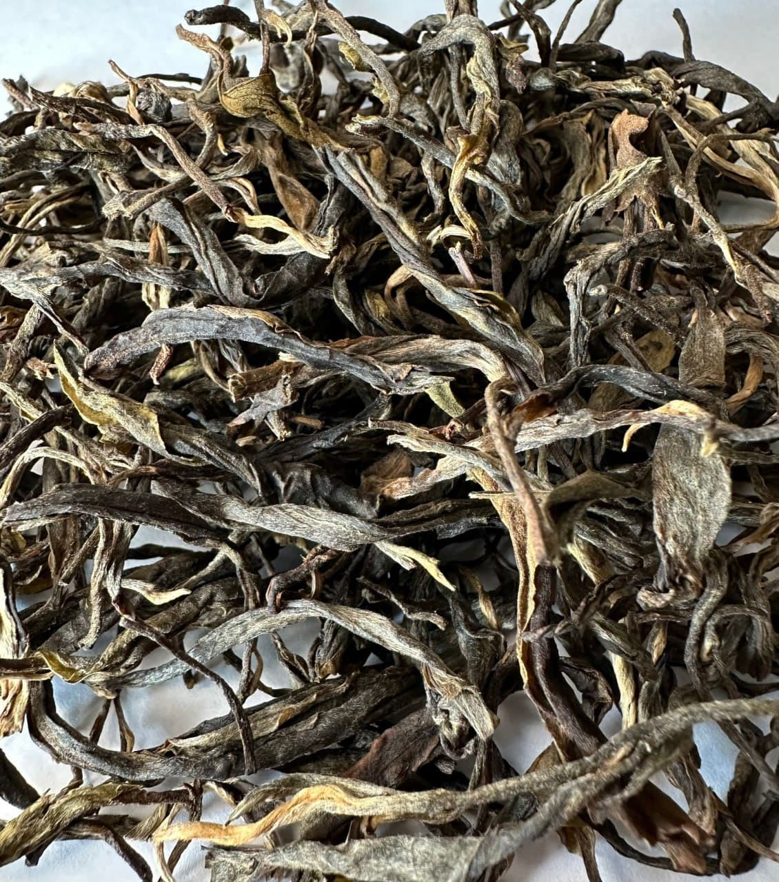 [2025 Valley Flower] Forest Century-Old Ancient Tree Autumn Loose Raw Pu-erh Tea, Pure Material Large-Leaf Variety (Shen)