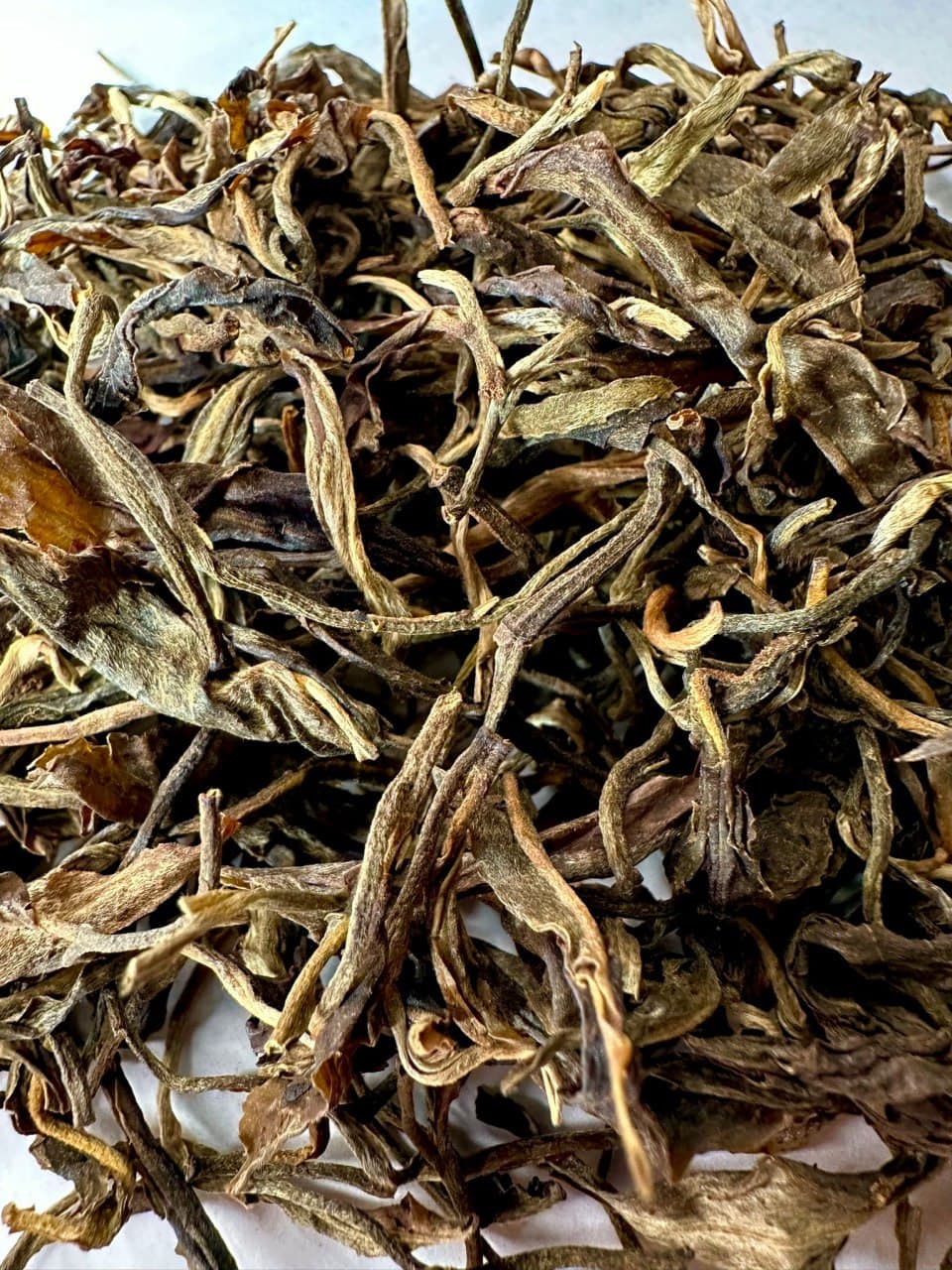 Yunnan Arbor First Spring Ancient Tree Pu-erh Raw Tea Loose Leaf – Farmhouse Pure Material Aged Spring Old Tea, 250g (Shen)