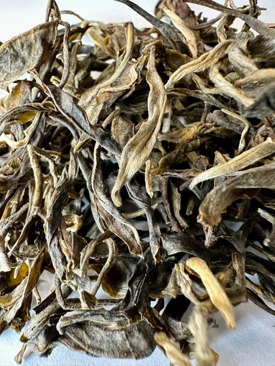 2025 First Spring New Tea - Yunnan Arbor Ancient Tree Pu-erh Raw Tea Loose Leaf, Pure Material (Shen)