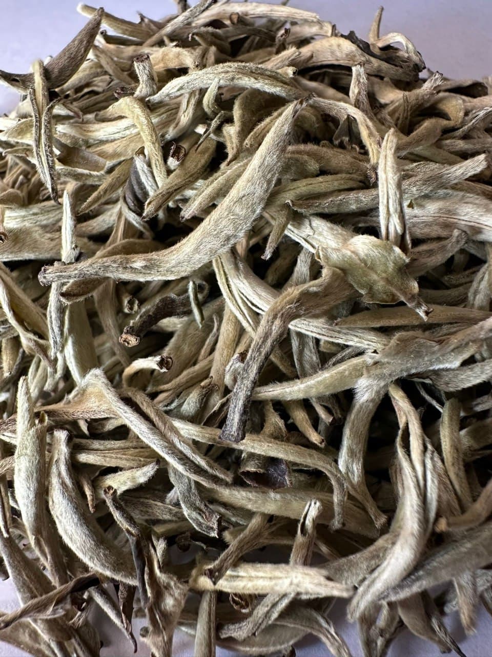 2025 First Spring Pu-erh Moonlight White Raw Tea - Pure Single Bud Tips Silver Needle ‘Beauty Tea’
