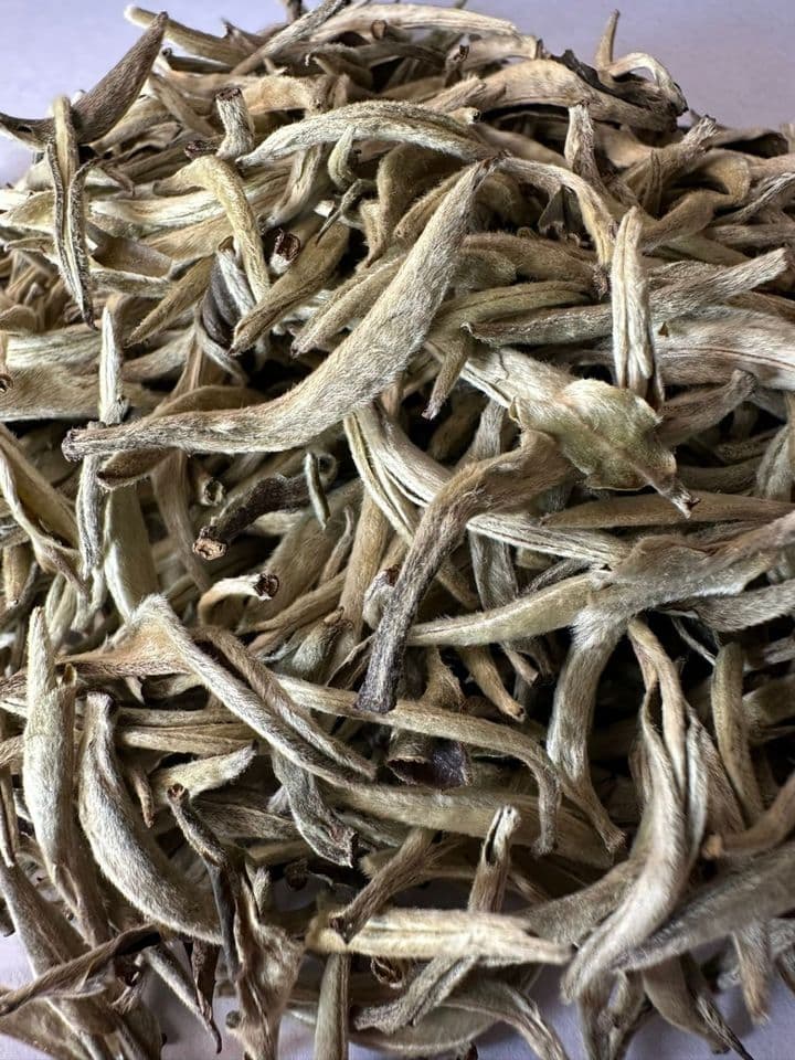 2025 First Spring Pu-erh Moonlight White Raw Tea - Pure Single Bud Tips Silver Needle ‘Beauty Tea’
